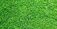 Perfect Artificial Lawns: 5 Benefits of Artificial Grass for Patios and Decks