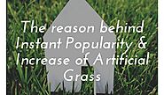 The reason behind Instant Popularity and Increase of Artificial Grass
