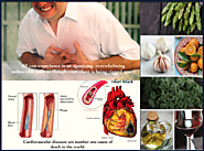 The Oxidized Cholesterol Strategy Review 2020