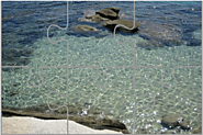 Puzzle Agua