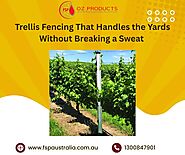 Trellis Fencing That Handles the Yards Without Breaking a Sweat