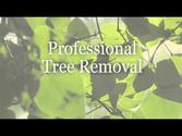 Tip Top Tree Service