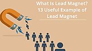 What Is A Lead Magnet? 13 Useful Examples Of Lead Magnet - SFWPExperts