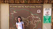 Pilanesberg Safari