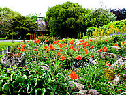 Anderson Park Botanical Gardens