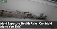 Mold Exposure Health Risks: Can Mold Make You Sick?