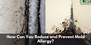 How Can You Reduce and Prevent Mold Allergy?