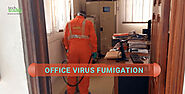 What to do Personally to keep your Office Free from Infection?