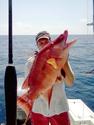 Top 10 Weirdest Looking Fish Ever Caught - World Fishing Network