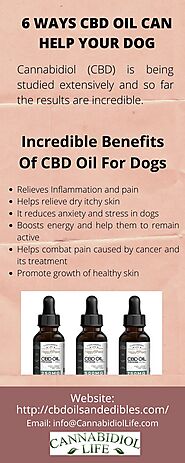 Benefits of CBD Oil for Dogs