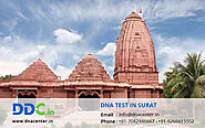 DNA Test in Surat