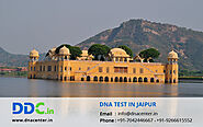 DNA Test in Jaipur