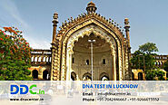 DNA Test in Lucknow