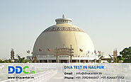 DNA Test in Nagpur