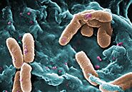 Susceptibilidad antimicrobiana en muestras clínicas de pacientes con infecciones asociadas a la atención de salud