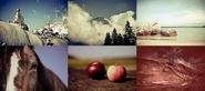 http://designmodo.com/free-photos/