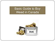 Basic Guide to Buy Weed in Canada