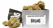 Insight to Buy Bulk Weed in Canada
