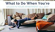 Things To Do While You're Stuck In Your Apartment | Apartminty