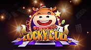 Cách chơi Lucky Bull online chi tiết, dễ hiểu cho người chơi mới