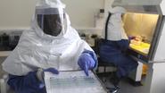 Ebola vaccine tests planned soon, NIH says