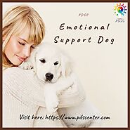 Changes in a person’s life after registering for an emotional support animal - PDSC