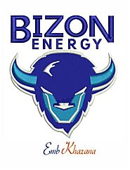 Bizon energy logo embroidery design