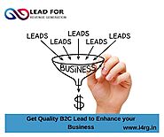L4rg One of the Best B2C lead Generation Company in Delhi.