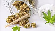 Federal Cannabis Legalization Bill : An Unachievable Dream