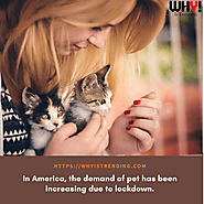 In America, the demand for a pet has been increasing due to lockdown.