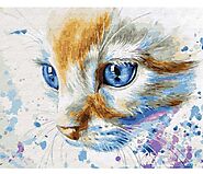 Cat Paint By Numbers Online Sale - Vangovagon Home Store