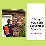 Albany New York Pest Control Services
