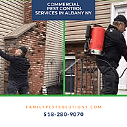 Commercial Pest Control Services in Albany NY
