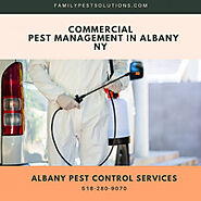Commercial Pest Management in Albany NY