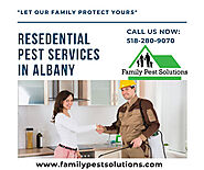 Resedential Pest Services in Albany