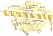 What are Management Accounts?