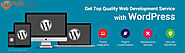 Wordpress Development Company in Delhi
