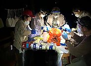 Project G-2101: Pentagon biolab discovered MERS and SARS-like coronaviruses in bats - Dilyana.bg