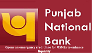 PNB opens an emergency credit line for MSMEs to enhance liquidity - Funds Instructor