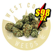 98OZ - BLACK DOMINA | Best Cannabis Online Shop