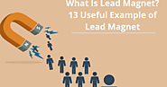 What Is A Lead Magnet? Explained With 13 Best Lead Magnet Ideas 2020｜sfwpexperts｜note