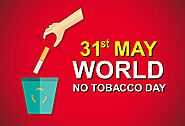 World No Tobacco Day 2020 | 31st May | Theme | Celebration |