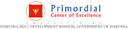 Primordial center of excellence