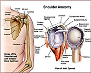 Shoulder Surgery-San Diego Orthopedic Surgery-Dr.Robert Afra