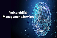 Live Vulnerability Management Services, Threat Management Tools