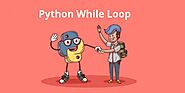 All You Need to Know About the Python While Loop