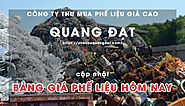 Phe Lieu Quang Dat
