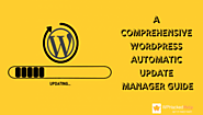 WordPress Automatic Updates Management – A How To Guide