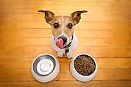 Tips Before Buying Pet Food - Check Ingredient List Properly