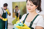 professional cleaning companies chevy chase md